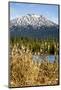 USA, Oregon. Deschutes River Basin, Lava Lake, cattails and Mt. Bachelor.-Alison Jones-Mounted Photographic Print