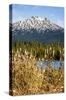USA, Oregon. Deschutes River Basin, Lava Lake, cattails and Mt. Bachelor.-Alison Jones-Stretched Canvas