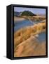 USA, Oregon, Dunes National Recreation Area. Landscape of Sand Dunes-Steve Terrill-Framed Stretched Canvas