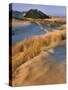 USA, Oregon, Dunes National Recreation Area. Landscape of Sand Dunes-Steve Terrill-Stretched Canvas