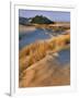 USA, Oregon, Dunes National Recreation Area. Landscape of Sand Dunes-Steve Terrill-Framed Photographic Print