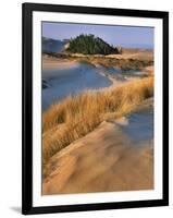 USA, Oregon, Dunes National Recreation Area. Landscape of Sand Dunes-Steve Terrill-Framed Photographic Print