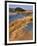 USA, Oregon, Dunes National Recreation Area. Landscape of Sand Dunes-Steve Terrill-Framed Photographic Print