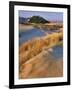 USA, Oregon, Dunes National Recreation Area. Landscape of Sand Dunes-Steve Terrill-Framed Photographic Print