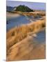 USA, Oregon, Dunes National Recreation Area. Landscape of Sand Dunes-Steve Terrill-Mounted Photographic Print