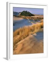 USA, Oregon, Dunes National Recreation Area. Landscape of Sand Dunes-Steve Terrill-Framed Photographic Print