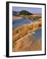 USA, Oregon, Dunes National Recreation Area. Landscape of Sand Dunes-Steve Terrill-Framed Photographic Print