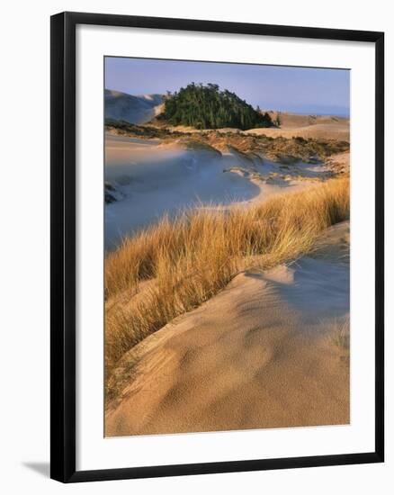 USA, Oregon, Dunes National Recreation Area. Landscape of Sand Dunes-Steve Terrill-Framed Photographic Print
