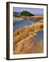 USA, Oregon, Dunes National Recreation Area. Landscape of Sand Dunes-Steve Terrill-Framed Photographic Print