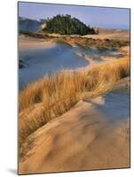 USA, Oregon, Dunes National Recreation Area. Landscape of Sand Dunes-Steve Terrill-Mounted Photographic Print