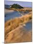 USA, Oregon, Dunes National Recreation Area. Landscape of Sand Dunes-Steve Terrill-Mounted Photographic Print