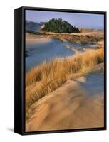 USA, Oregon, Dunes National Recreation Area. Landscape of Sand Dunes-Steve Terrill-Framed Stretched Canvas