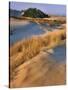 USA, Oregon, Dunes National Recreation Area. Landscape of Sand Dunes-Steve Terrill-Stretched Canvas