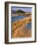 USA, Oregon, Dunes National Recreation Area. Landscape of Sand Dunes-Steve Terrill-Framed Photographic Print