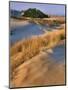 USA, Oregon, Dunes National Recreation Area. Landscape of Sand Dunes-Steve Terrill-Mounted Photographic Print