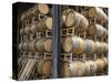 USA, Oregon, Elk Cove Winery. Oak storage barrels.-Jaynes Gallery-Stretched Canvas