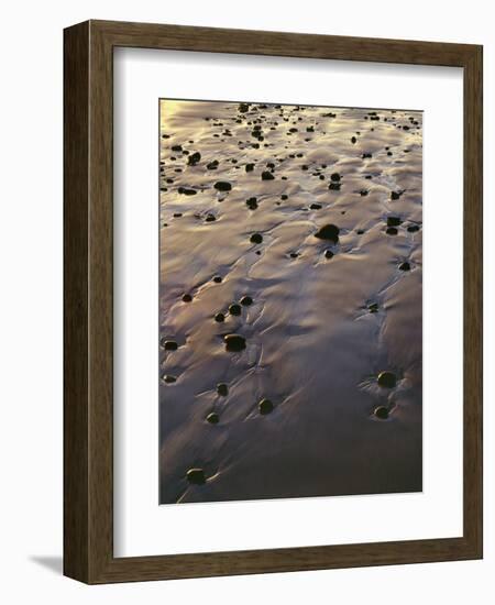 USA, Oregon. Evening light defines wet beach with scattered rocks, near Oceanside.-John Barger-Framed Photographic Print