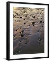 USA, Oregon. Evening light defines wet beach with scattered rocks, near Oceanside.-John Barger-Framed Photographic Print