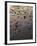 USA, Oregon. Evening light defines wet beach with scattered rocks, near Oceanside.-John Barger-Framed Photographic Print