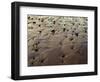 USA, Oregon. Evening light defines wet beach with scattered rocks, near Oceanside.-John Barger-Framed Photographic Print