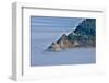 Usa, Oregon, Florence. Heceta Head Lighthouse, A Foggy Morning on the Pacific at the Lighthouse-Hollice Looney-Framed Photographic Print