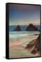 USA, Oregon, Florence. Sunrise on Heceta Beach.-Jaynes Gallery-Framed Stretched Canvas