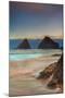 USA, Oregon, Florence. Sunrise on Heceta Beach.-Jaynes Gallery-Mounted Premium Photographic Print