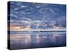 USA, Oregon, Florence, Sunset from North Jetty Beach-Ann Collins-Stretched Canvas