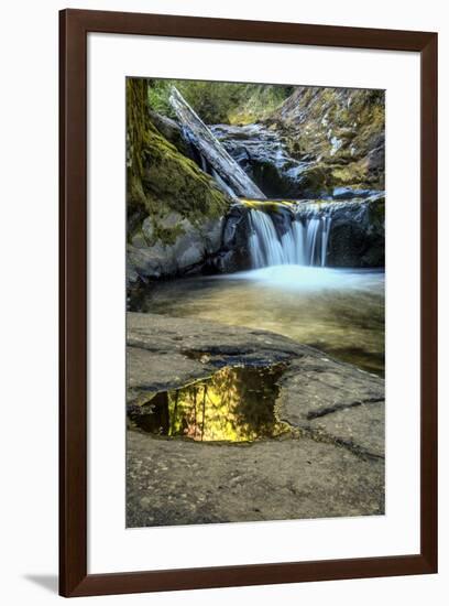 USA, Oregon, Florence. Waterfall in stream.-Jaynes Gallery-Framed Premium Photographic Print