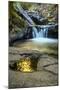 USA, Oregon, Florence. Waterfall in stream.-Jaynes Gallery-Mounted Premium Photographic Print