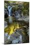 USA, Oregon, Florence. Waterfall in stream.-Jaynes Gallery-Mounted Photographic Print