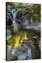 USA, Oregon, Florence. Waterfall in stream.-Jaynes Gallery-Stretched Canvas