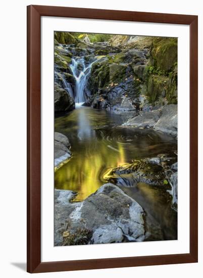 USA, Oregon, Florence. Waterfall in stream.-Jaynes Gallery-Framed Premium Photographic Print