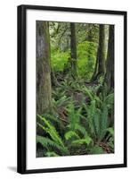 USA, Oregon. Forest Scenic-Steve Terrill-Framed Photographic Print