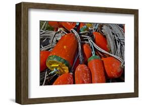 USA, Oregon, Garibaldi. Colorful Crab Pot Buoys-Jean Carter-Framed Photographic Print