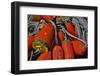 USA, Oregon, Garibaldi. Colorful Crab Pot Buoys-Jean Carter-Framed Photographic Print