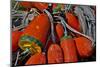 USA, Oregon, Garibaldi. Colorful Crab Pot Buoys-Jean Carter-Mounted Photographic Print