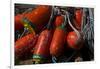 USA, Oregon, Garibaldi. Red and Green Crab Pot Buoys and Ropes-Jean Carter-Framed Photographic Print