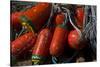 USA, Oregon, Garibaldi. Red and Green Crab Pot Buoys and Ropes-Jean Carter-Stretched Canvas