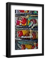 USA, Oregon, Garibaldi. Stacked Crab Pots on Dock-Jean Carter-Framed Photographic Print