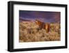 USA, Oregon, Harney County. Wild Horse on Steens Mountain-Janis Miglavs-Framed Photographic Print