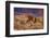 USA, Oregon, Harney County. Wild Horse on Steens Mountain-Janis Miglavs-Framed Photographic Print