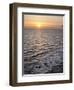 USA, Oregon. Heceta head Lighthouse State Scenic Viewpoint, sunset from Highway 101-Ann Collins-Framed Photographic Print
