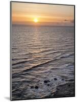 USA, Oregon. Heceta head Lighthouse State Scenic Viewpoint, sunset from Highway 101-Ann Collins-Mounted Photographic Print