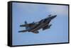 USA, Oregon, Hillsboro, F-15C Eagles.-Rick A Brown-Framed Stretched Canvas