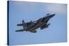 USA, Oregon, Hillsboro, F-15C Eagles.-Rick A Brown-Stretched Canvas