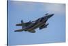USA, Oregon, Hillsboro, F-15C Eagles.-Rick A Brown-Stretched Canvas