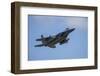 USA, Oregon, Hillsboro, F-15C Eagles.-Rick A Brown-Framed Photographic Print