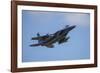 USA, Oregon, Hillsboro, F-15C Eagles.-Rick A Brown-Framed Photographic Print