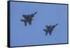 USA, Oregon, Hillsboro, F-15C Eagles.-Rick A Brown-Framed Stretched Canvas